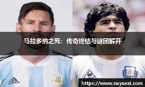 jn江南·体育登录入口